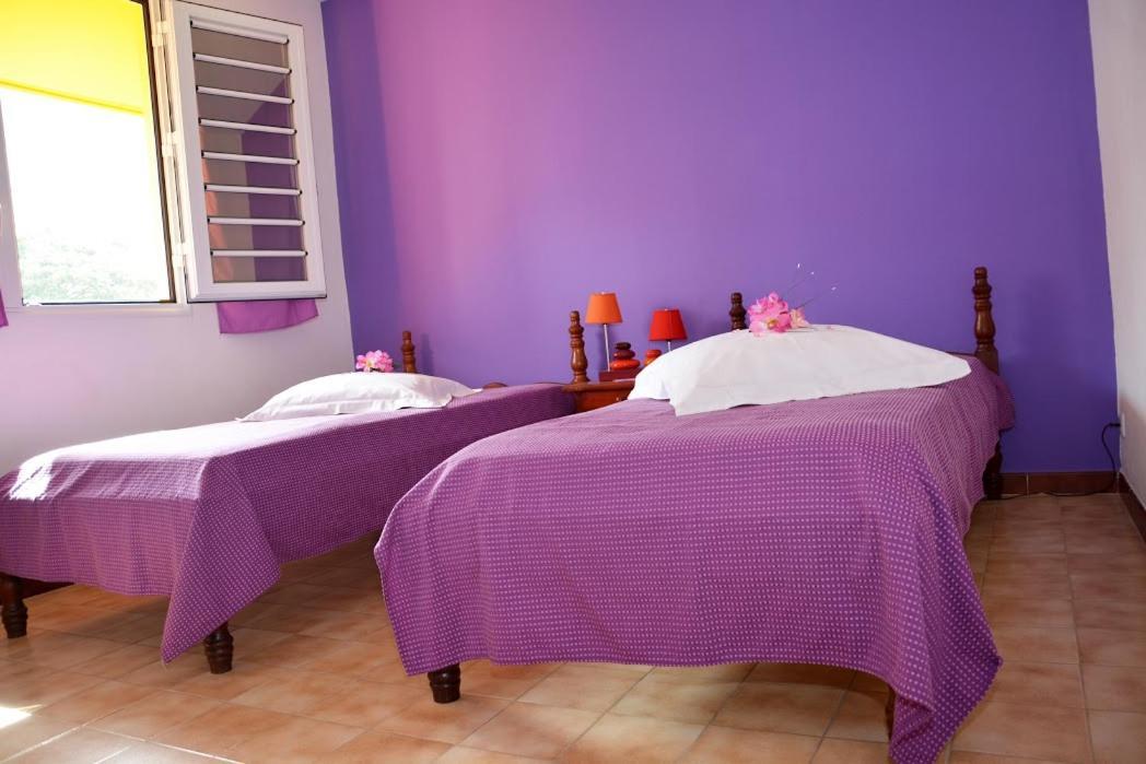 Residence De Vacances Mon Refuge - Bungalow De Type T3 Grande Anse Экстерьер фото